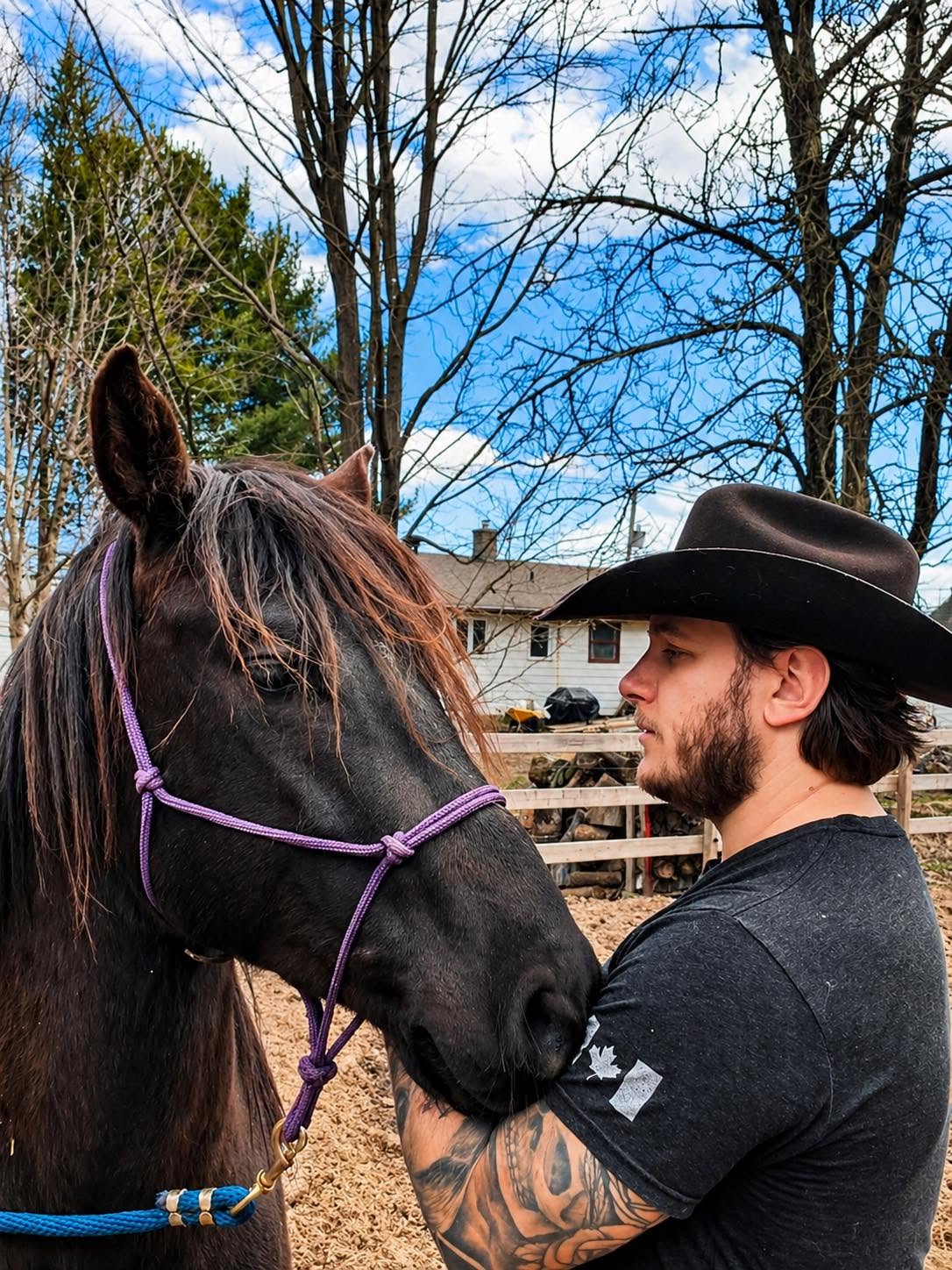 Moment de calme entre un homme et un cheval