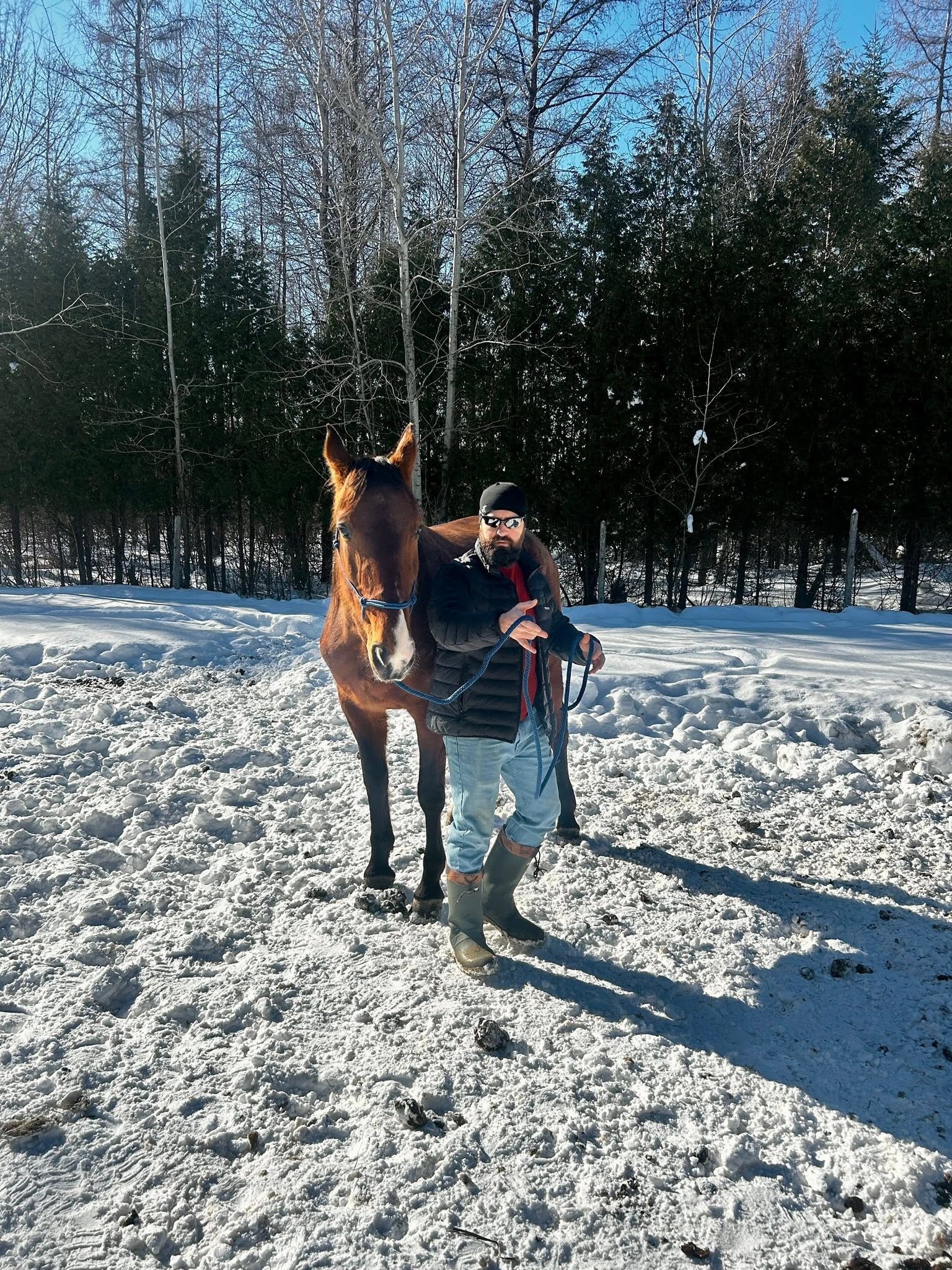 Vétéran accompagné d'un cheval dans un paddock enneigé